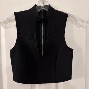 Cropped plunge neck top